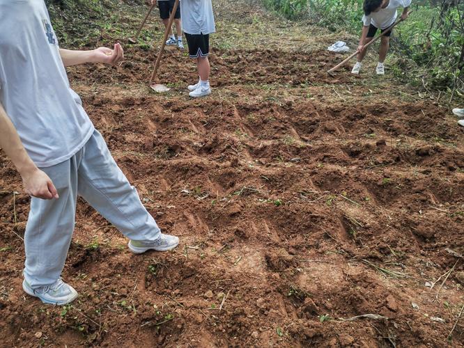 敬老院暑假社会实践