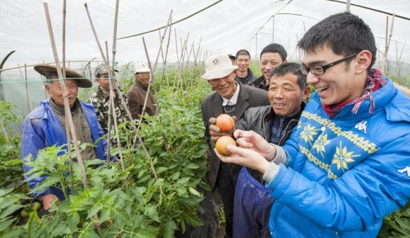 农村合作建房合同