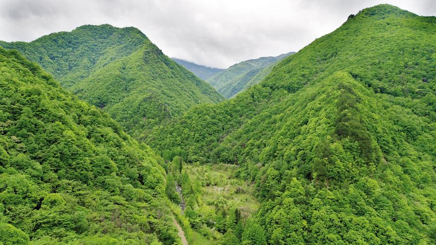 荒山承包合同书