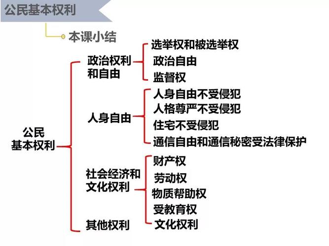 党员的基本权利和义务心得体会