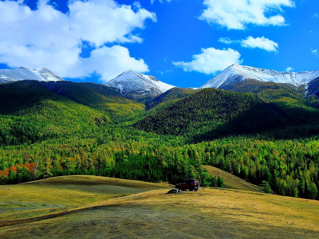 高中生参观龙虎山景点心得感悟