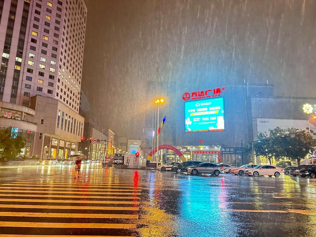 学校暴雨三防应急预案