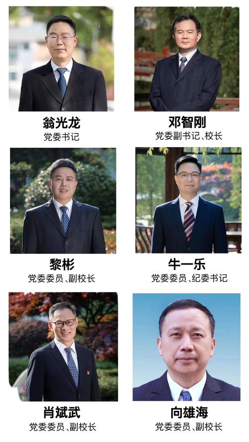 小学学校班子年度述职述廉报告