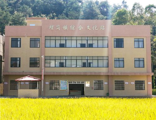 乡综合文化站建设自查报告