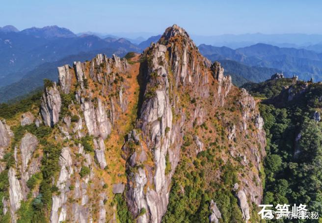 布吉南岭村房屋出租