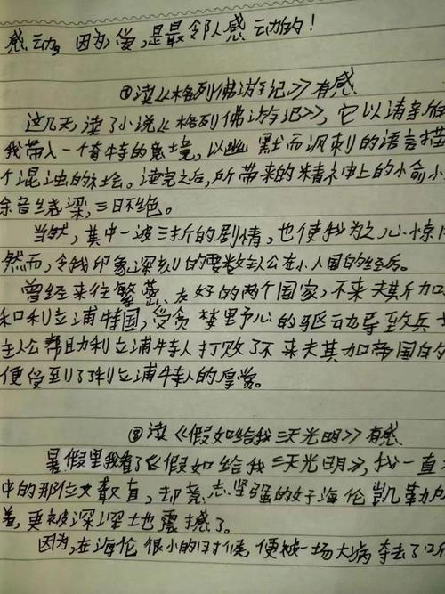 羊脂球读书笔记800字