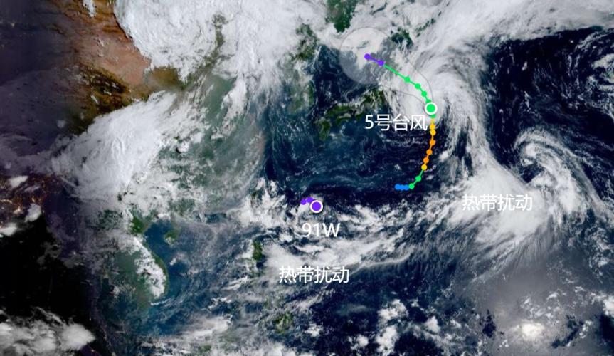 企业防汛防台风通知