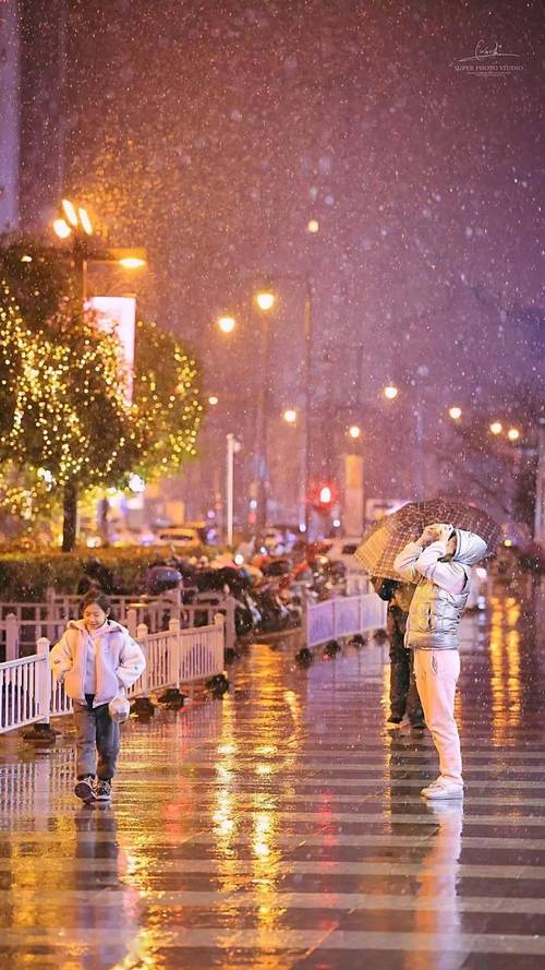 采样点应对雨雪天气应急预案