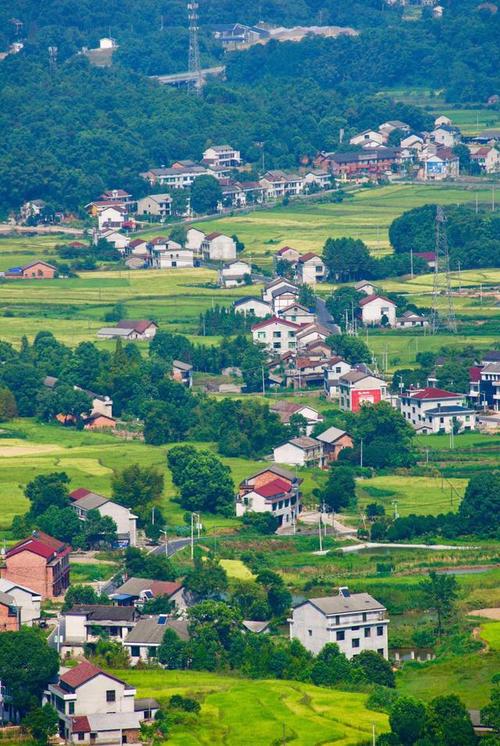 乡村振兴示范镇方案