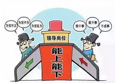 干部任职公示情况报告