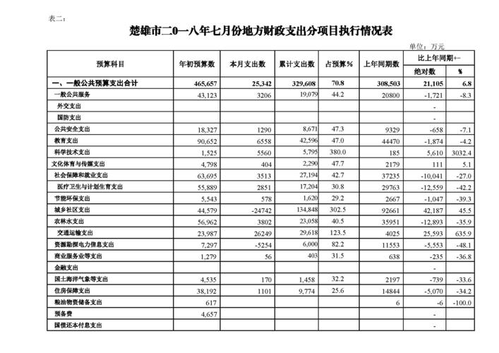 预算执行情况报告