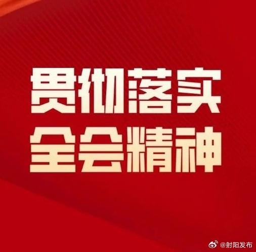 贯彻落实减税降费政策自查报告范文