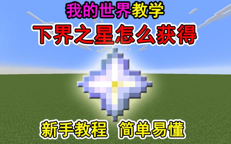 校园之星事迹材料