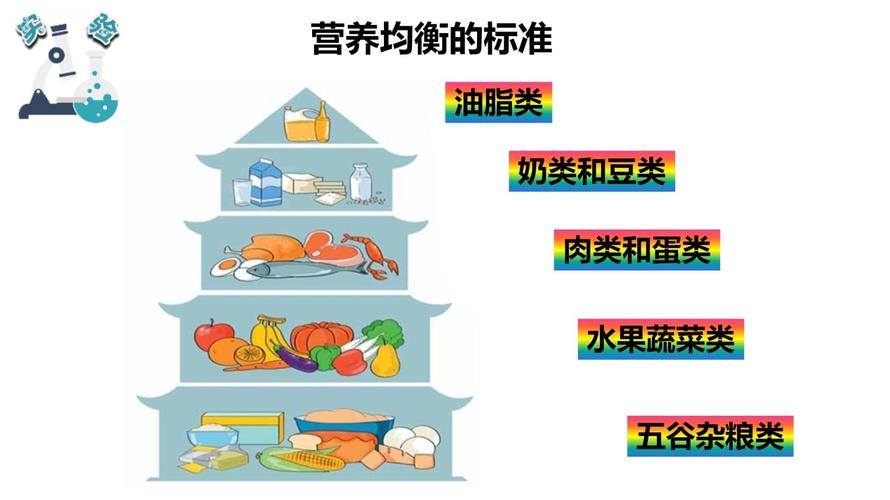 营养改善计划自查报告