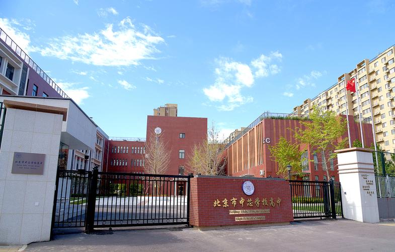 2024学校社会实践报告