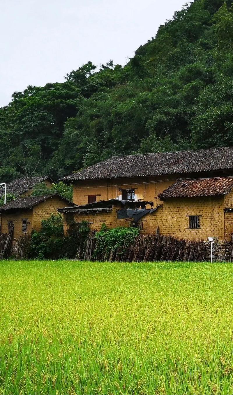 乡村修路申请报告