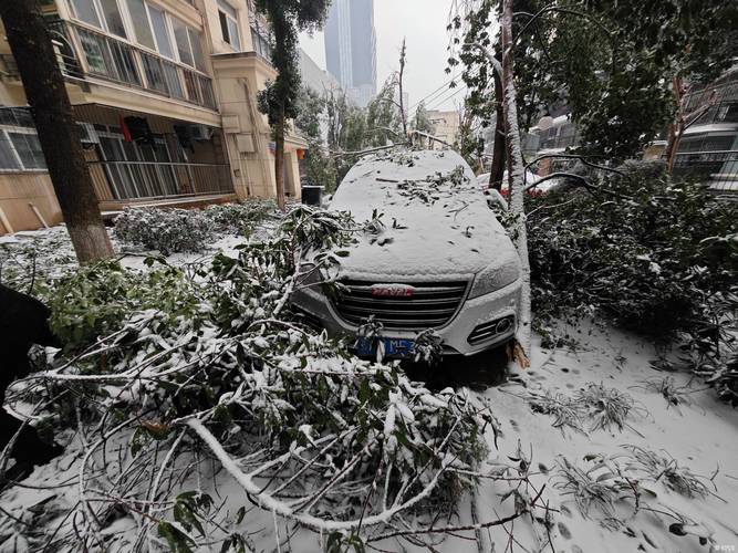 绿化雪灾的应急预案