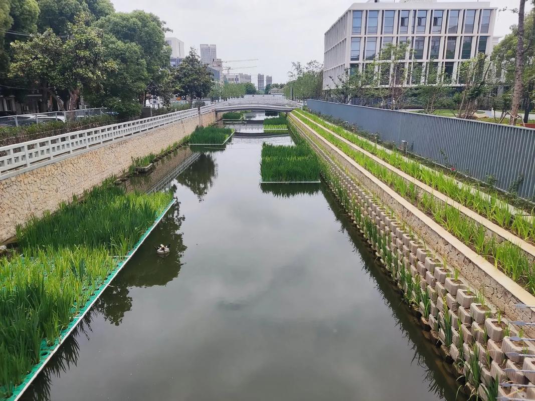 河道污水治理实施方案范文