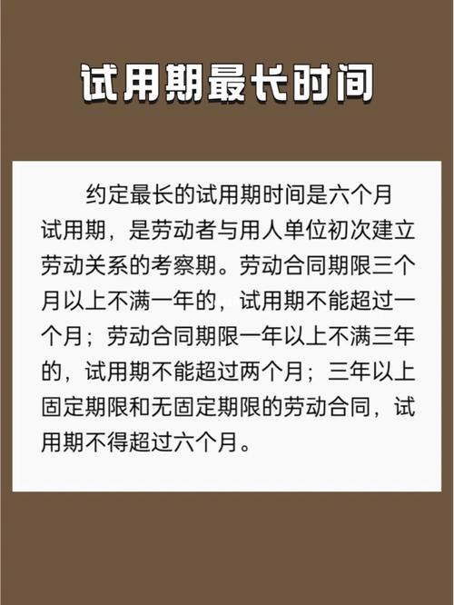 新教师试用期个人总结