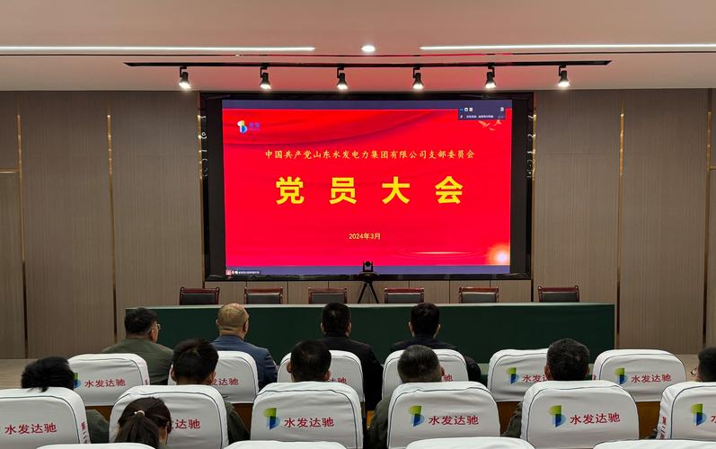 2024年学校党支部的工作总结范文