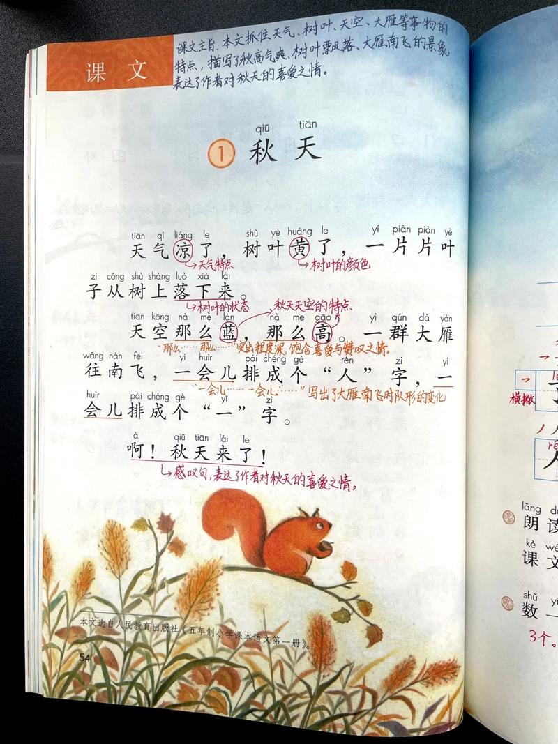 小学语文教师培训