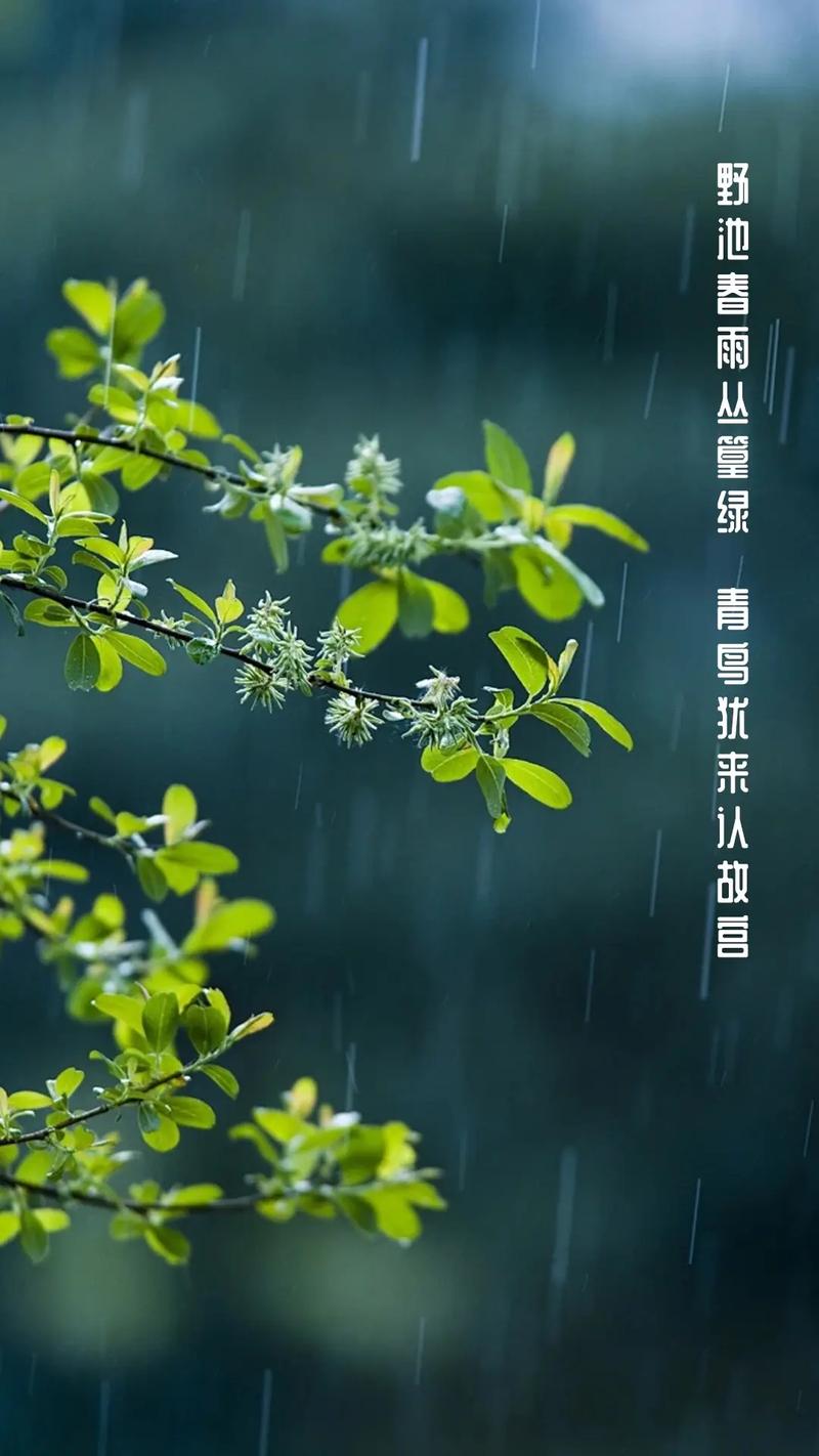 春雨的色彩评课稿范文