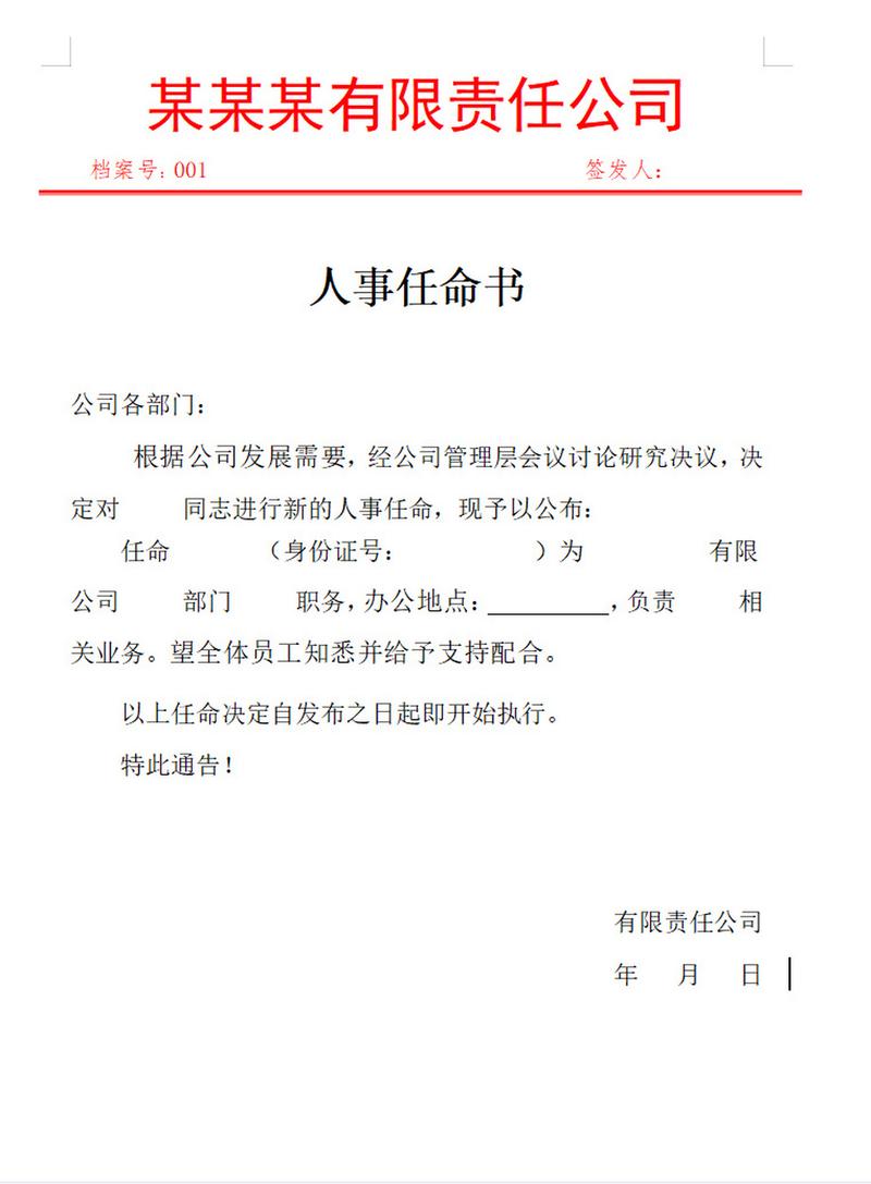 2024年优秀公司任命书范文