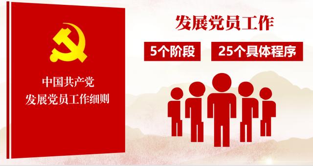 乡镇发展党员个人工作总结范文